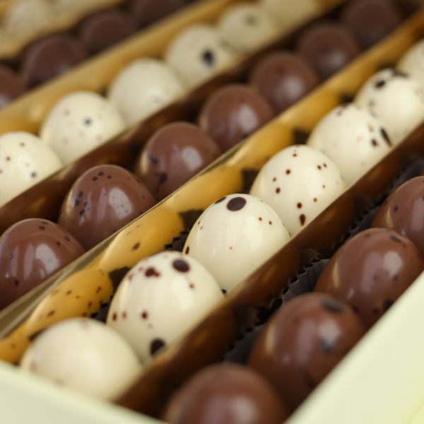 Chocolate Egg Book 1kg